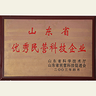 山东省优秀民营科技企业