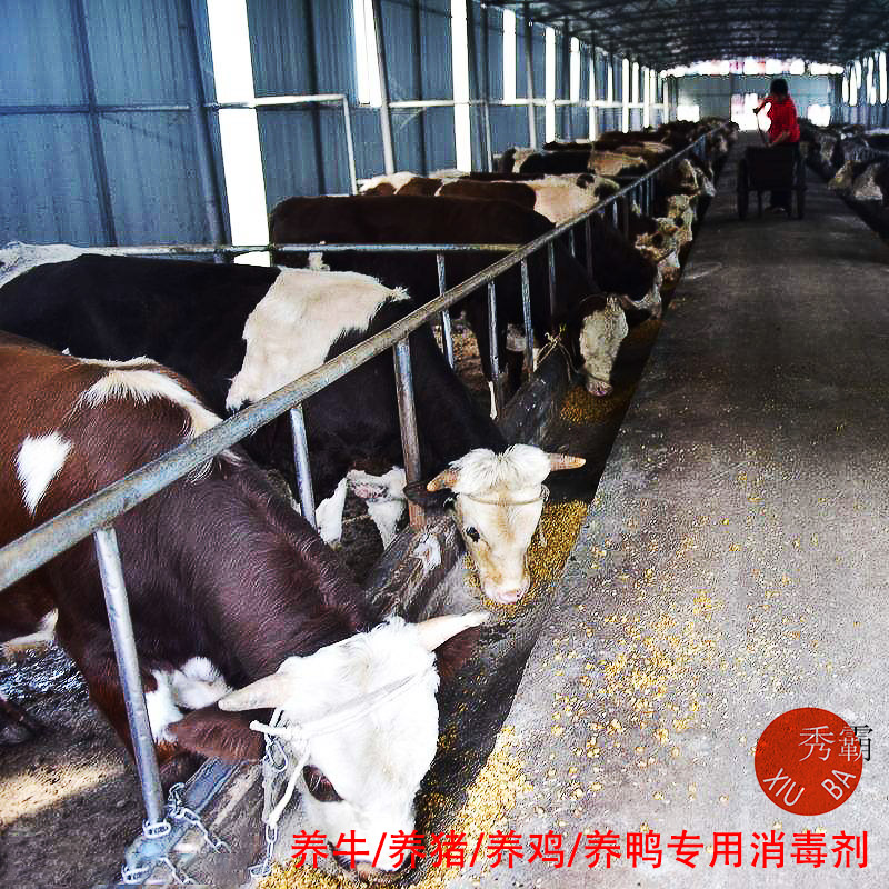 二氧化氯消毒粉【畜牧养殖】产品展示图3
