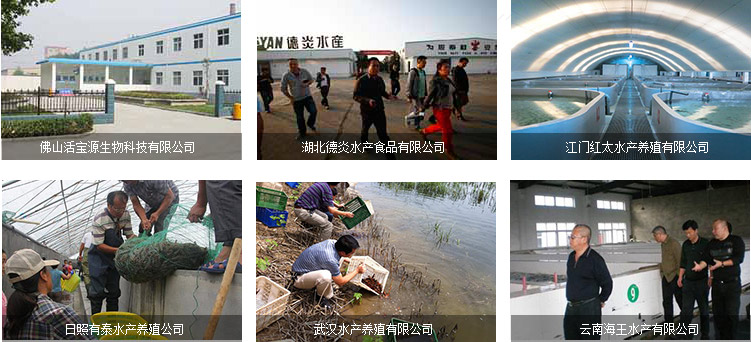 东营市自来水公司 关岭县自来水有限公司 济南第一水厂 中原石油供水公司 潍坊市第一自来水厂 芜湖县陶辛葛江自来水公司