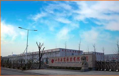 山东华实制药有限公司照片